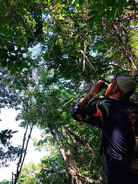 1. bird survey action-credit-STENAPA