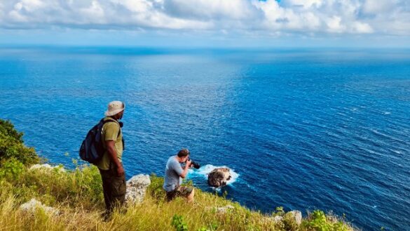 2. Bird Monitoring- credit- Kai Wulf-SCF