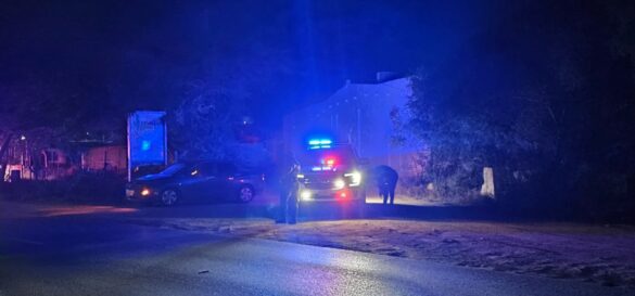 Screenshot_20241105_211801_Gallery_1