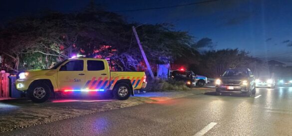 Screenshot_20241105_211904_Gallery_1