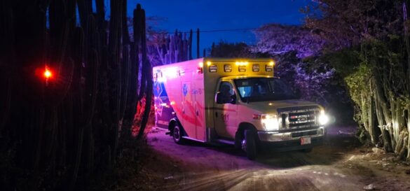 Screenshot_20241105_212010_Gallery_1