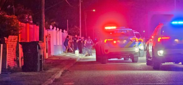 Screenshot_20241110_234248_Gallery