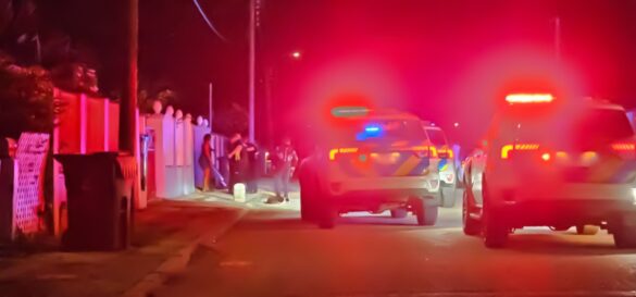 Screenshot_20241110_234328_Gallery